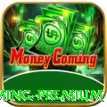 ppn7 - Gaming Premium